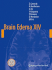 Brain Edema XIV