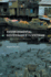 Environmental Governance in Vietnam: Institutional Reforms and Failures
