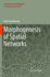 Morphogenesis of Spatial Networks
