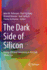 The Dark Side of Silicon: Energy Efficient Computing in the Dark Silicon Era