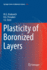 Plasticity of Boronized Layers