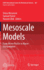 Mesoscale Models: From Micro-Physics to Macro-Interpretation