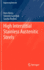 High Interstitial Stainless Austenitic Steels (Engineering Materials)