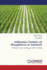 Utilization Pattern of Phosphorus in Vertisols: By Radio Tracer Techniques (32p) in Paddy