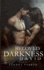 Beloved Darkness: David