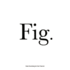 Adam Broomberg & Oliver Chanarin: Fig