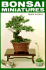 Bonsai Miniatures: Quick and Easy