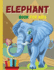 Elephant Book for Kids: Lovely Elephants Waiting for You to Discover and Color Them &#1472; Suitable Book for All Children Who Love Animals
