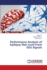 Performance Analysis of Epilepsy Risk Level From Eeg Signals