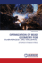 Optimization of Bead Geometry for Submerged Arc Welding