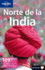 Norte De La India 1 (Lonely Planet) (Spanish Edition)