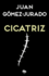 Cicatriz / Scar (Spanish Edition)
