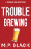 Trouble Brewing: 3 (a Parker Lee Mystery)