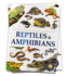 Animals-Reptiles and Amphibians