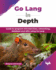 Go Lang in Depth: Guide to program microservices, networking, database and APIs using Go Lang (English Edition)
