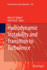 Hydrodynamic Instability and Transition to Turbulence (Fluid Mechanics and Its Applications)