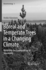 Boreal and Temperate Trees in a Changing Climate: Modelling the Ecophysiology of Seasonality (Biometeorology (3))