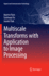 Multiscale Transforms With Application to Image Processing (Signals and Communication Technology)