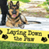 Laying Down the Paw (Paw Enforcement) (English and Norwegian Edition)