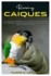 Raising Caiques: A Complete Handbook for Understanding, Caring for, Feeding, Training and Enjoying Life with the Playful Parrot Clowns