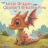 The Little Dragon Who Couldn't Breathe Fire