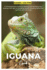 Iguana Guide: A comprehensive Guide for raising and handling your Iguanas with tips on breeding, health, housing, behaviour, nutrition, and lots more