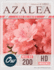 Azalea