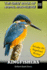 Kingfishers: Brilliant Beak Divers