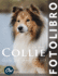 Collie: Fotolibro - oltre 100 immagini HD