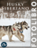 Husky siberiano: Fotolibro - oltre 100 immagini HD