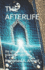 The Afterlife: the afterlife from an Islamic perspective