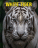 White Tiger: Fun and Amazing Pictures About White Tiger