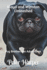 Lloyd and Winston Unleashed: Pug Brothers on Adventures