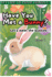 Have You Met a Bunny?: Let's meet the bunnies!