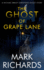 The Ghost of Grape Lane: A Detective Michael Brady Crime Thriller