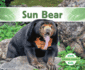 Sun Bear