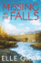 Missing in the Falls (a Sweetwater Falls Mystery)