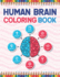 Human Brain Coloring Book: The Human Brain Coloring Book. Human Brain Model Anatomy, Human Brain Diagram, Human Brain Art, Human Brain and Human Learning, Human Brain Anatomy. Neuroanatomy Coloring Book for Neuroscience Nurses Doctors & Nursing Students.