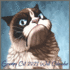 Grumpy Cat 2021 Wall Calendar: Grumpy Cat calendar 2021-2021 day dream calendars store 8.5 x 8.5 Inch, Cute Cats Calendars for a Cause