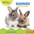 Bunnies Format: Library Bound