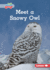 Meet a Snowy Owl Format: Paperback