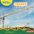 Cranes Format: Library Bound