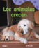Los Animales Crecen: A Wordless Nonfiction Book