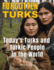 Forgotten Turks