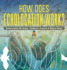 How Does Echolocation Work? Science Book 4th Grade Children's Science & Nature Books