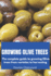 Growing Olive Trees: The complete guide to growing Olive trees from varieties to harvesting