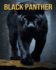 Black Panther: Fun and Interesting Facts and Pictures About Black Panther