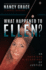 What Happened to Ellen? : an American Miscarriage of Justice