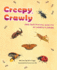 Creepy, Crawly and Fascinating Insects of North Florida