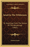 Israel in the Wilderness: Or Gleanings from the Scenes of the Wanderings (1865)